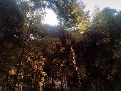 -春晖园度假酒店温泉