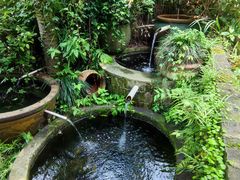 -野蔓果·山野菜(西湖景区·龙井茶田店)