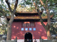 -普陀山风景名胜区-法雨禅寺