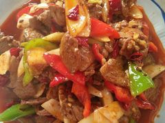 凉拌土豆丝-炕锅羊肉土火锅面片大王