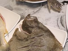 多宝鱼-蓝珊甄选海鲜自助·火锅大排档(近阿那亚店)