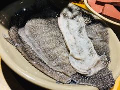 -白乐天毛肚火锅馆(南滨路店)