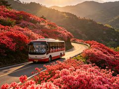 -木兰云雾山