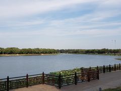 -素心小筑(后沙裕镇店)