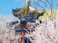 -颐和园-景明楼