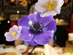-新白鹿餐厅(金鹰新街口店)