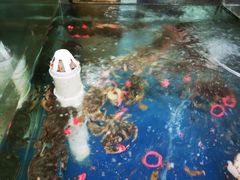 -雅逸居海鲜小厨