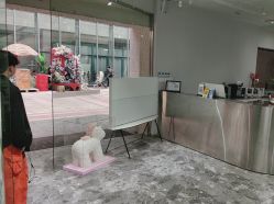 -时尚玩家发型设计