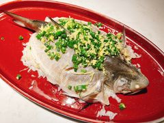 马友鱼蒸饭-钟菜·粤菜点心·宴请(海上世界·汇港二期店)