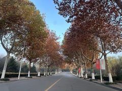 -山东艺术学院(长清校区)