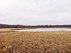 -塞罕坝国家级自然保护区