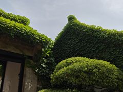 -济南大明湖景区