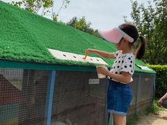 -廊坊固安福朋喜来登酒店