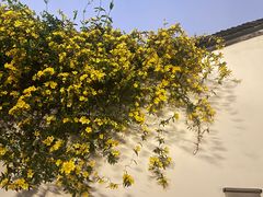 -卤鸭儿(小河路店)