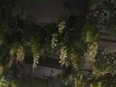 -番食园鲜食火锅(高新店)