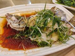 鲈鱼-朱仔记食府(江南大道店)
