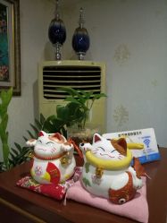 -源素美容养生会所