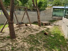 -石家庄市动物园