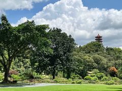 -深圳仙湖植物园