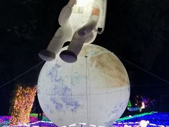 -广西壮族自治区药用植物园