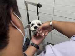 -达爱动物医院·犬猫分区·CT·复杂眼科(远洋山水分院)