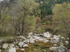 -秦岭风景区