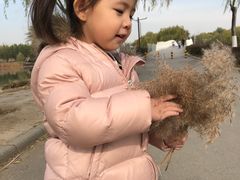 -北京麋鹿生态实验中心
