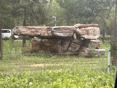 -秦皇岛野生动物园