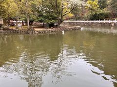 -黔灵山公园