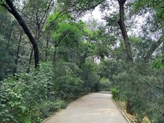 -周口店北京人遗址公园