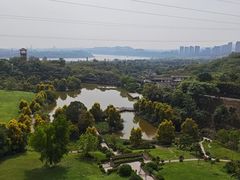 -张坝桂圆林公园