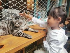 -喵屿·大理花园猫咖