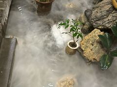 -巴国九王爷火锅(万盛总店)