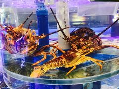 -新海渔港·胶东海鲜家常菜·家宴(奥体中心店)