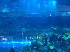 -迪拜水族馆及水下动物园