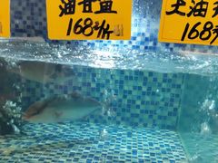 -顺德了能馆(虎门店)