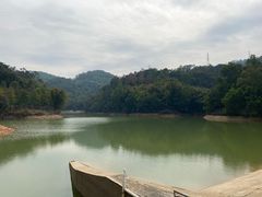-中山市树木园