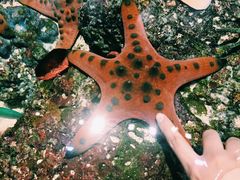 -新加坡海洋生态馆