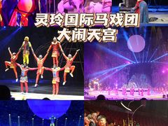 -灵玲国际马戏城