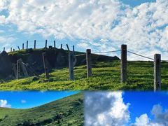-大姆山草场