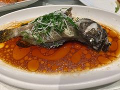 -大东海海鲜酒楼(渔人码头总店)