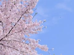 -方山风景区定林寺