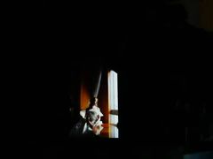 -上海明天广场JW万豪酒店