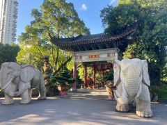 -华雅花园大酒店