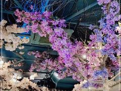-香阁餐厅·常州菜·常州菜代表品牌(新北奥体店)