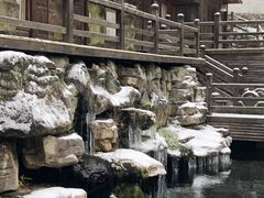-贵州省植物园