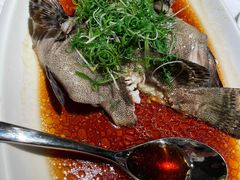 老虎斑-香樟花园新粤料理(无锡万象城店)