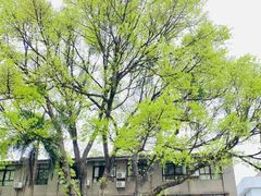 -星海音乐学院(沙河校区)