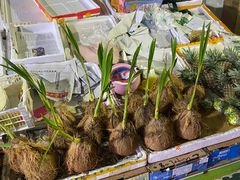 -林旺社区水果市场