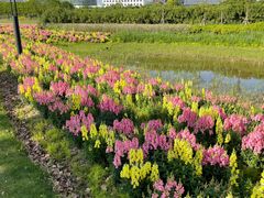 -春花秋色城市公园